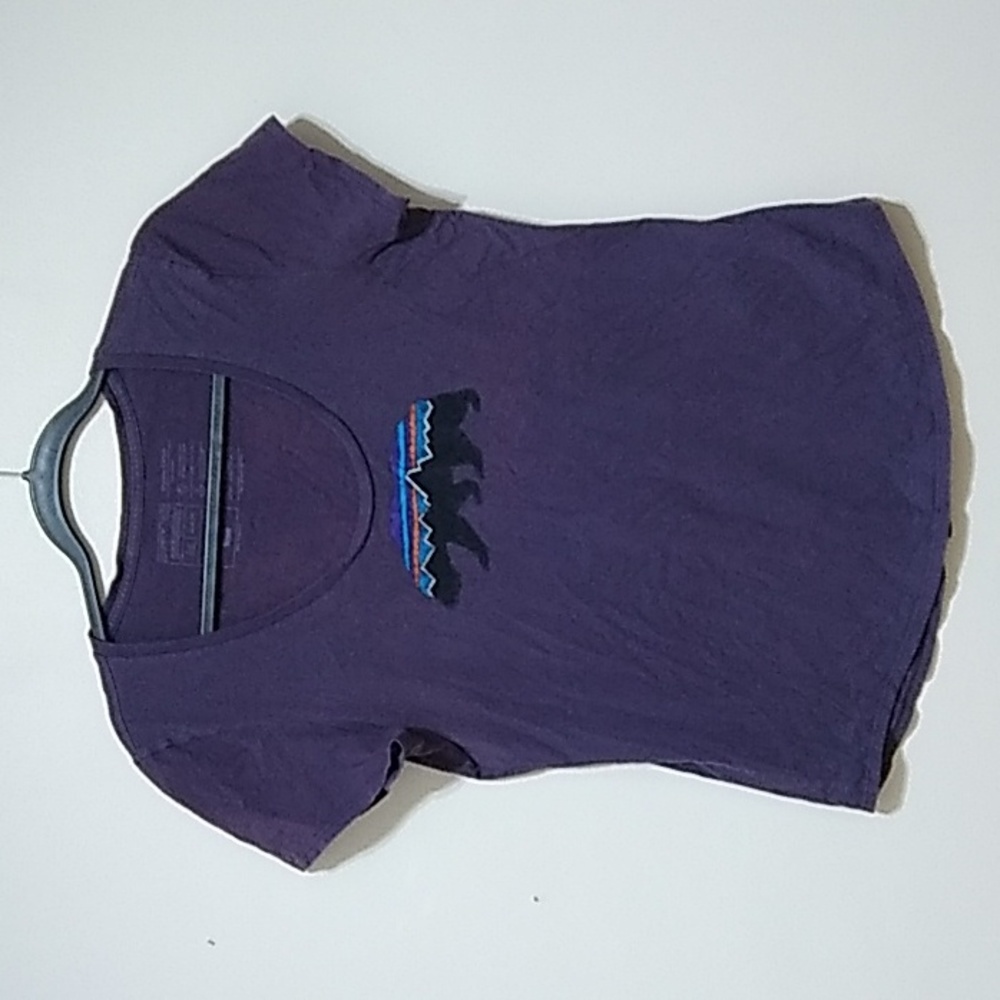 Patagonia Fitz Roy Bear Scoop Tee